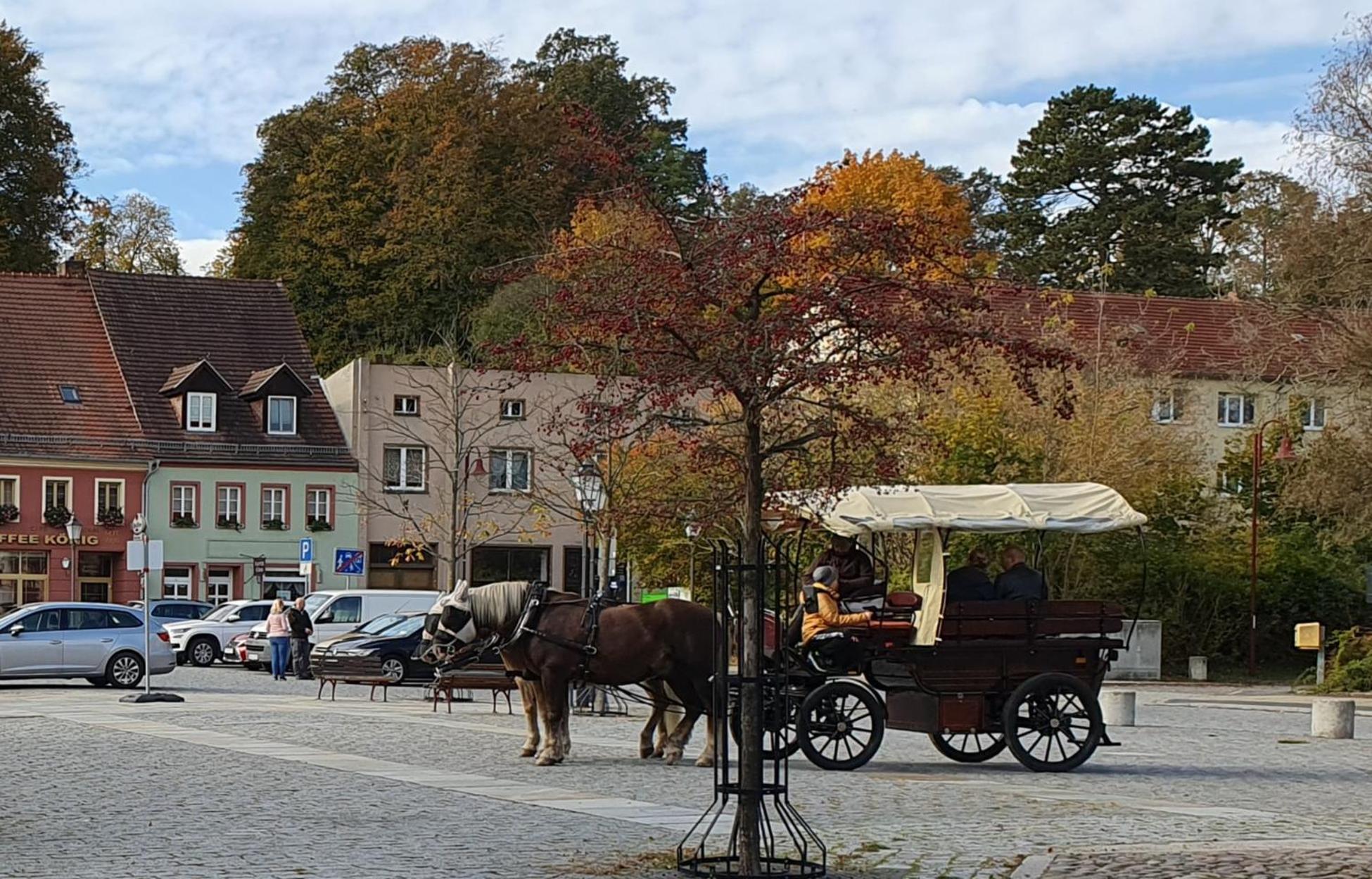 Der Gruene Fuerst 1 Bad Muskau