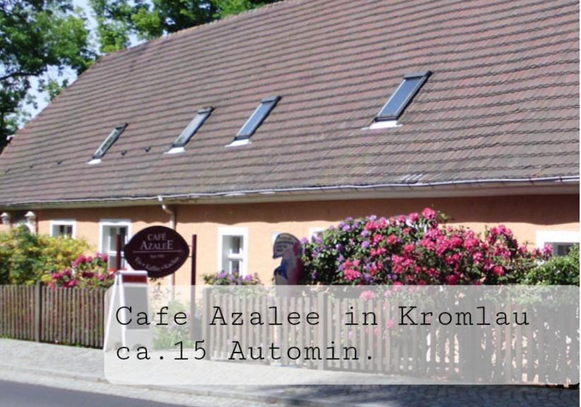Der Gruene Fuerst 1